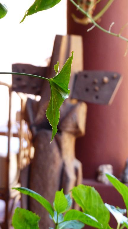 La Montana Acomodação com café da manhã Cafayate Exterior foto